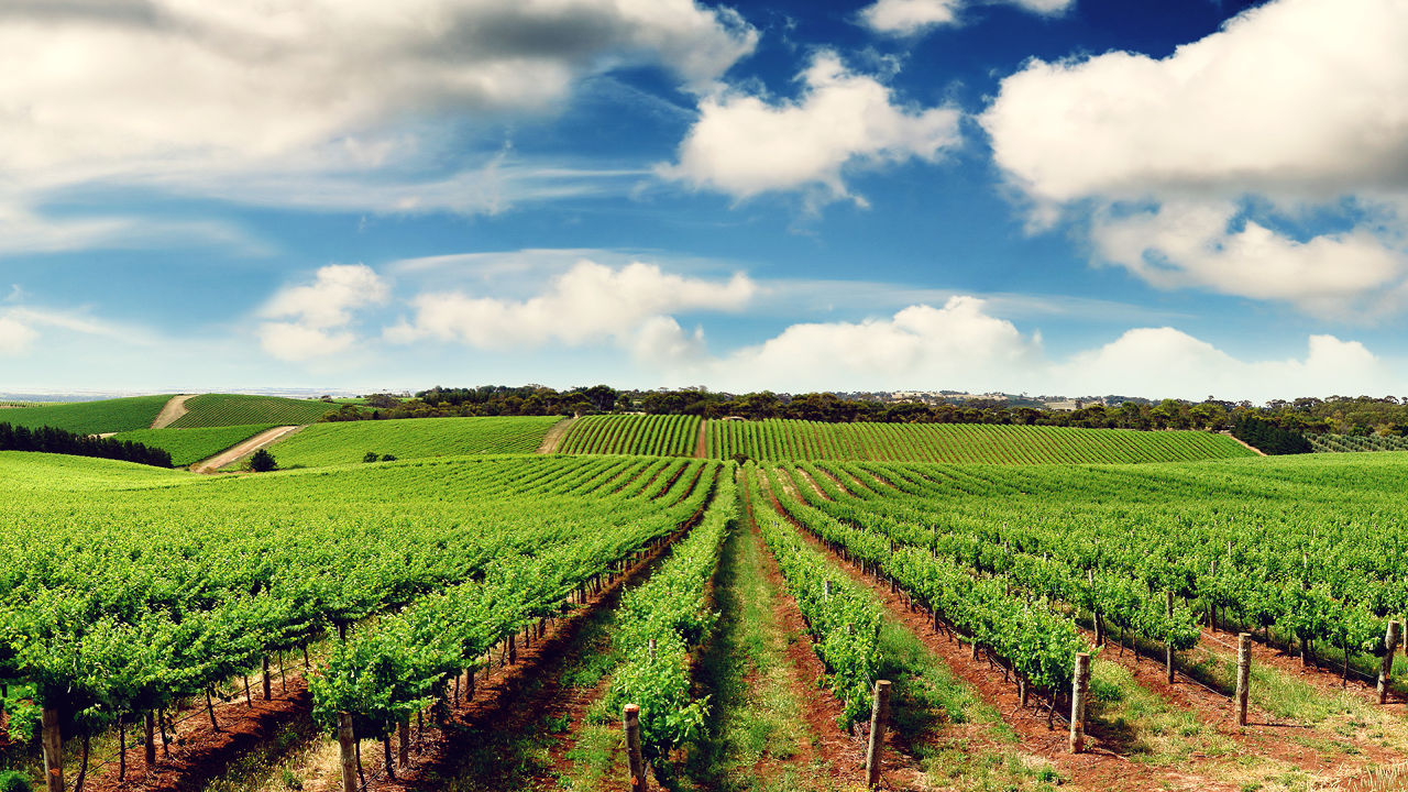 3020337-poster-p-1-with-farmplicity-the-farm-to-table-movement-meets-the-21st-century - EUROPEAN REGIONS OF GASTRONOMY