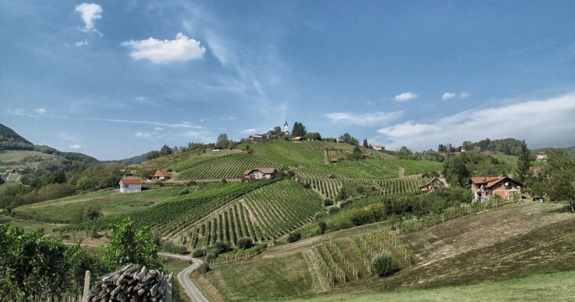 Slovenia-focuses-on-sustainability-and-top-quality-food-experiences_Facebook.jpg