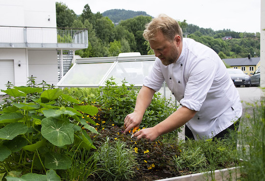 Good food for the elderly in Trondheim-Trøndelag