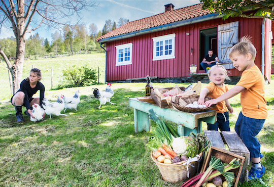 Trøndersk Food Festival’s innovative response to gathering restrictions
