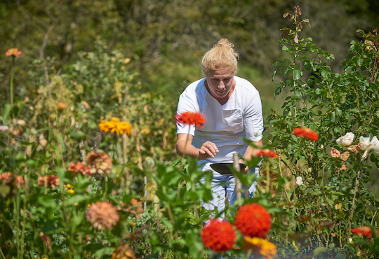 The sustainable cuisine of Ana Roš, ambassador of Slovenia 2021