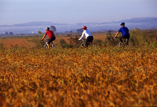 Coimbra-Region_Cicling-Fields-of-Rice.jpg