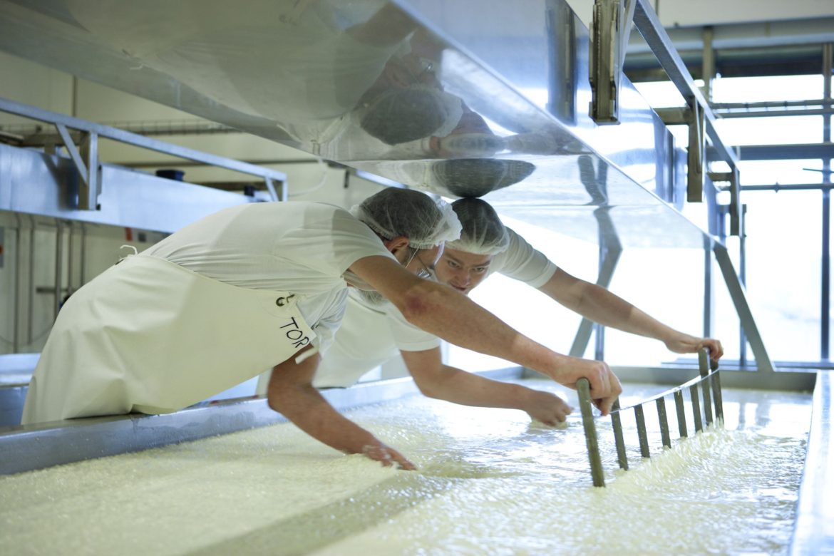 Thise-Dairy_Aarhus-Central-Denmark-Region-scaled.jpg