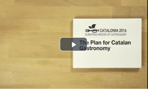 screen-shot-secondo-video-catalonia.png