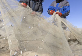 Snowchange Cooperative