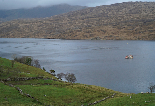 Galway-West-of-Ireland_Widget-2.jpg